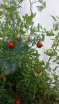 20150803_192836.jpg