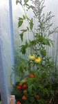 20150803_192926.jpg