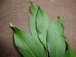 DSC08349.JPG