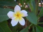 100_4964.JPG