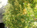 DSCN2939.JPG