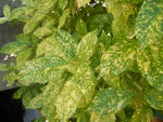 DSCN2941.JPG