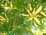 DSCN2942.JPG