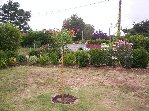 11-08-08 003.jpg