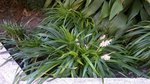 WP_20150804_003.jpg