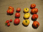 P8130005V1.jpg