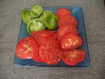 P8120043V1.jpg