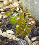 P1010003.JPG