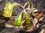 P1010004.JPG