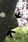 bourrelet.jpg