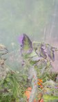 20150817_174235.jpg