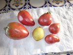tomate inconnue.jpg