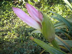DSCN6338.JPG