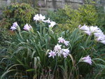 DSCN6350.JPG