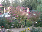 DSCN6361.JPG
