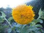 DSCN6366.JPG