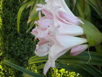 DSCN6340.JPG