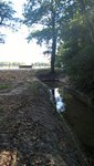 On voit le canal qui va de l'étangs pour partir vers un autre étangs.