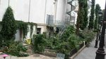 la plupart de ces plantes ont été photographiées derrière le Palais de Tokyo à Paris, dans un petit jardin qui longe le musée, en bas des escaliers, et créé par un artiste, magnifique et très romantique !