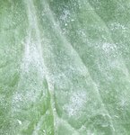 20150821_183950-1-1-1.jpg