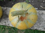 DSCN1580.resized.JPG
