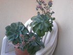 Photo0425.jpg