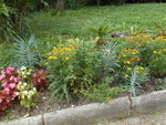 DSCN1579.resized.JPG
