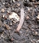 20150824_102300.jpg