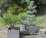 pots démontables-1.JPG