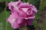41ab774ce1de7287a557bedd6fddfcc6.jpg