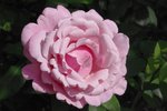 becccba132881f994b52cdfaf46cb3c8.jpg