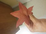 20150829_220216.jpg