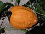 P8220032_compr.jpg