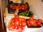 DSCN6377.JPG