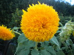 DSCN6374.JPG