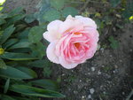 DSCN6372.JPG