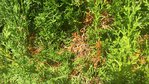 20150830_144735r.jpg