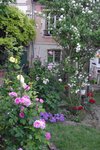IMGP8015.jpg
