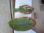 20150830_185838.jpg