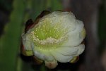 DSC_0012 [800x600].JPG