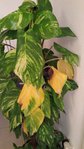 20150831_2056340.jpg