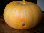 DSCN0113.png