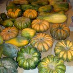 Courges 2015_2.jpg