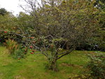 P9040028.JPG