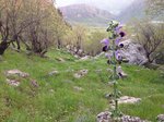 IMG_3456.JPG