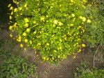 DSCN6398.JPG