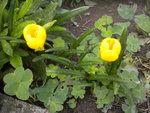 DSCN6404.JPG