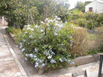 DSCN6406.JPG