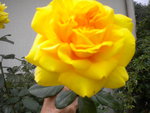 DSCN6410.JPG