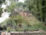 DSCN6412.JPG
